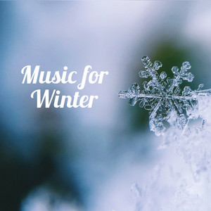 Music for Winter πΉ
