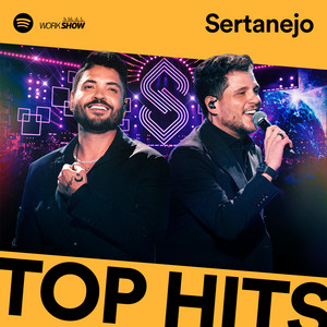 SERTANEJO TOP HITS 2024