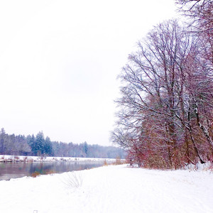 First Snow of The Year