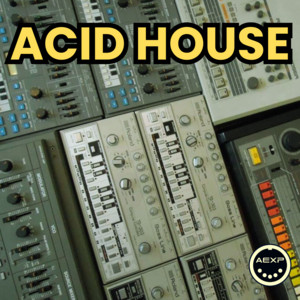 ACID HOUSE Underground (1988-2025) 🤍 TB303 🤍 ACID 🤍