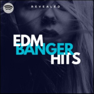 EDM BANGER HITS