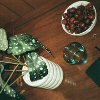 SONGS TO DRINK GIN TO