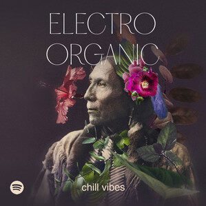 Electro Organic Chill Vibes