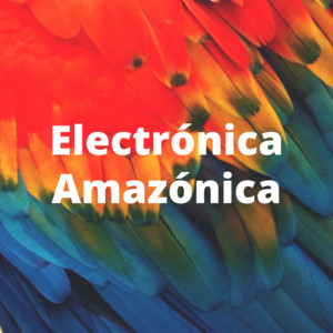 Electrónica Amazónica