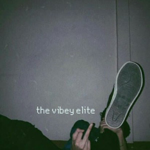 the vibey elite