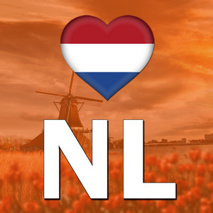 Meezingers 2025 • Hollandse Hits • NL • Café • Nederlandstalig • Kroeg • Feestmuziek 🇳🇱