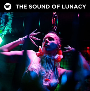 The Sound Of Lunacy