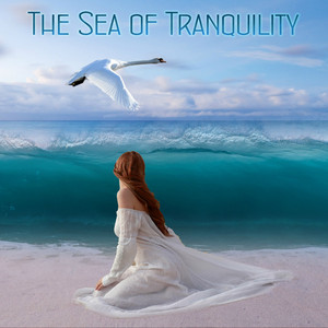 Relaxing Music for Tranquility