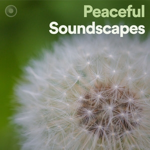 Peaceful Soundscapes for Meditation + Mindfulness