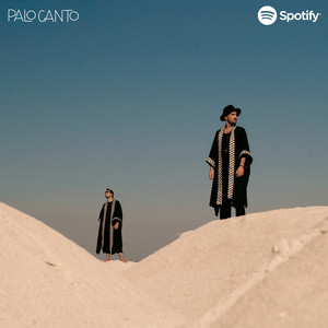 Palo Canto’s Organic Electronica Selection