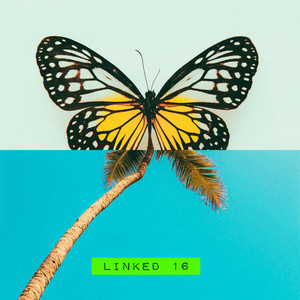 LINKED – COLLABORATION SERIES