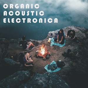 Organic Acoustic Electronica