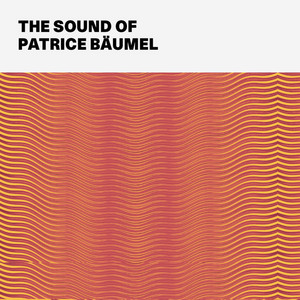 Patrice Baumel: The Sound Of Patrice Baumel