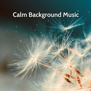 Calm Background | Easy Listening Music