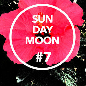 Sun Day Moon #7