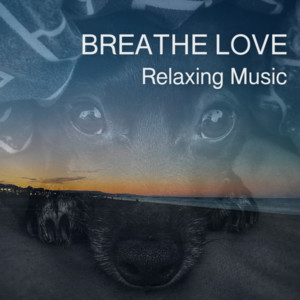 Relaxing Music