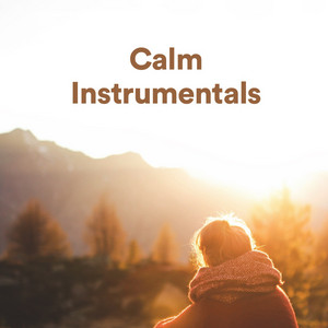 Calm Instrumental Music