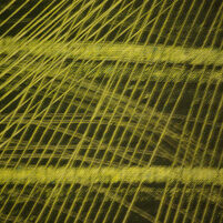 ABSTRACTION Ambient Musics for Discerning Listeners