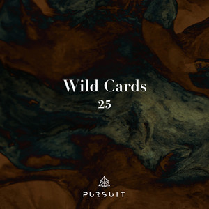 Pursuit | Releases