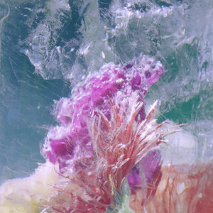 Efterklang Recommends
