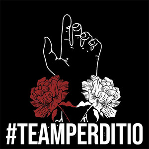 #TEAMPERDITIO FRIDAY UPDATE 🖤🥀🖤